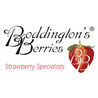 Boddington’s Berries