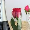 Champagne & Luxury Chocolate Valentine's Day Cornish Hamper additional 3