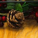 Christmas Treats Hamper additional 2