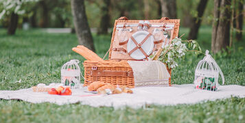 Picnic