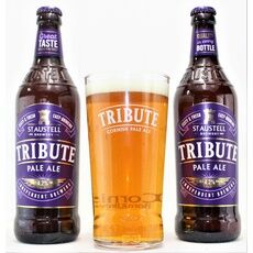 St Austell Brewery Tribute & Branded Pint Glass Gift Set