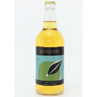 Polgoon Cider - 50cl (ABV 5.0%)