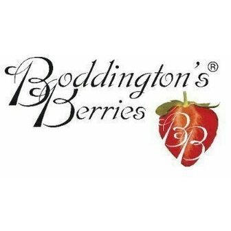 Boddington's Strawberry Jam (Pack of 2)