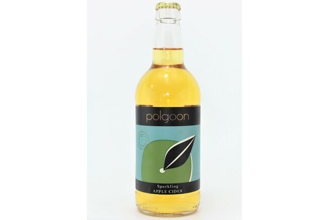 Polgoon Cider - 50cl (ABV 5.0%)