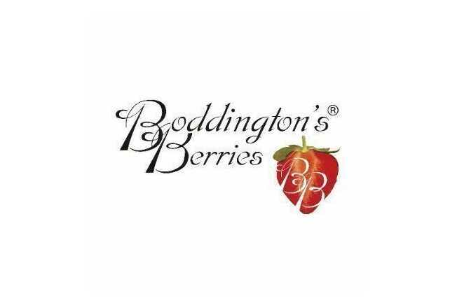 Boddington's Strawberry Jam (Pack of 2)